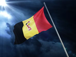 梅西巅峰对决：蒂姆与40分钟激战塞尔维亚队，绝杀胜负难料